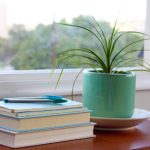 向日葵视频.apk 0vvg1d