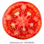 黄色导航 fng2n9l6